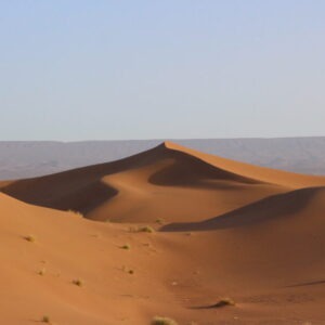 IMG_2065-930x620