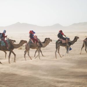 Morocco-Camel-trekking